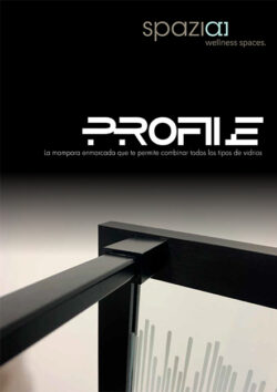 coleccion profile 2019 1 250x354 - Zona descargas 2023